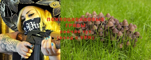 эйфоретик Киреевск