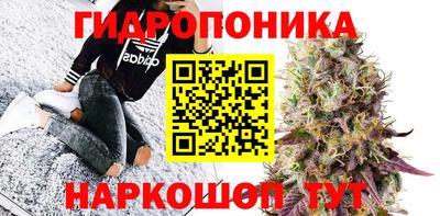 прущая мука Гатчина