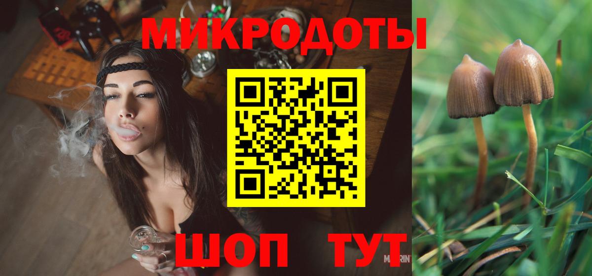 где найти наркотики  Вход с VPN  Галлюциногенные грибы Psilocybine cubensis  Керчь  Псилоцибиновые грибы MAGIC MUSHROOMS 